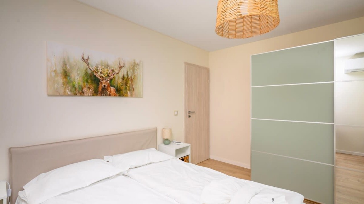 Scoutaround White Logo