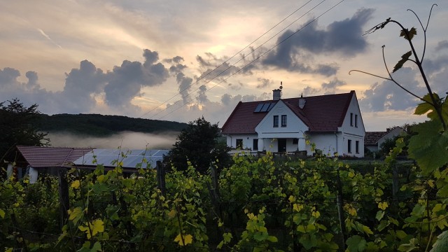 20 hectare traditional ranch