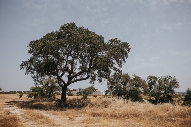 Casa da Volta — Contemporary Walled Villa with Courtyards & Exceptional Natural Light