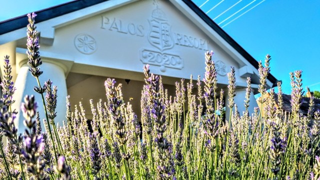 20 hectare traditional ranch